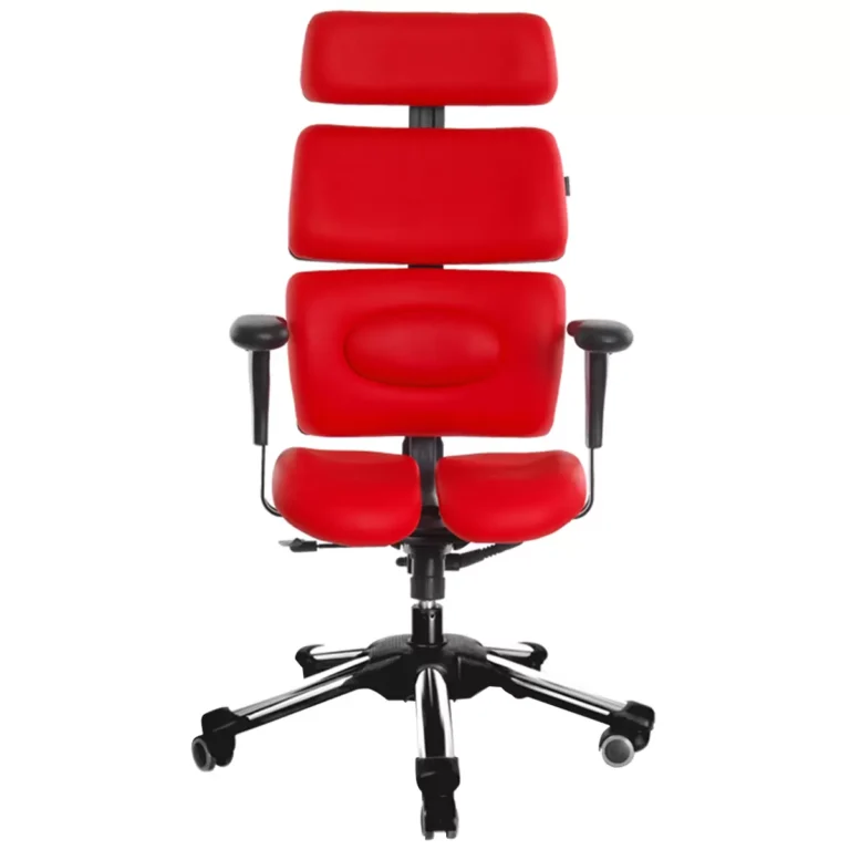 Hara Ergonomic Doctor V Chair