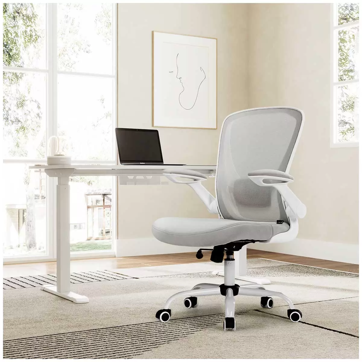 Eureka OC06 ONYX Ergonomic Office Chair