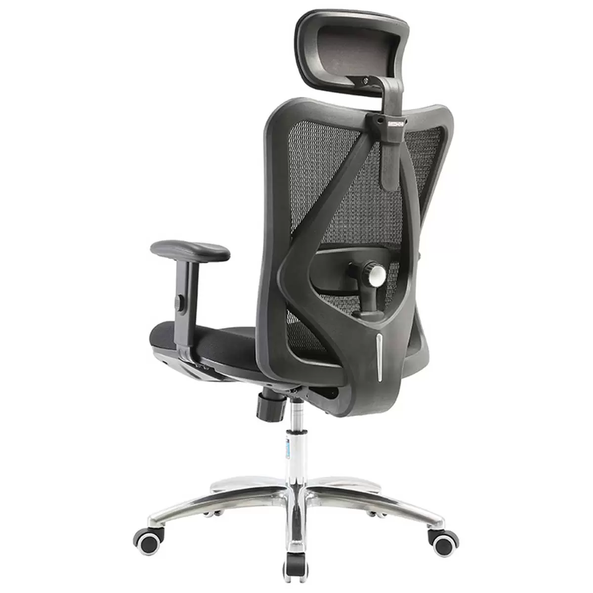 Sihoo Ergonomic Office Chair M18