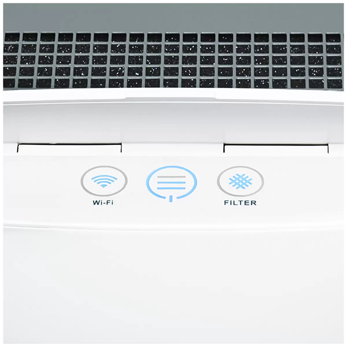 Blueair 205 Air Purifier with Smokestop Filter