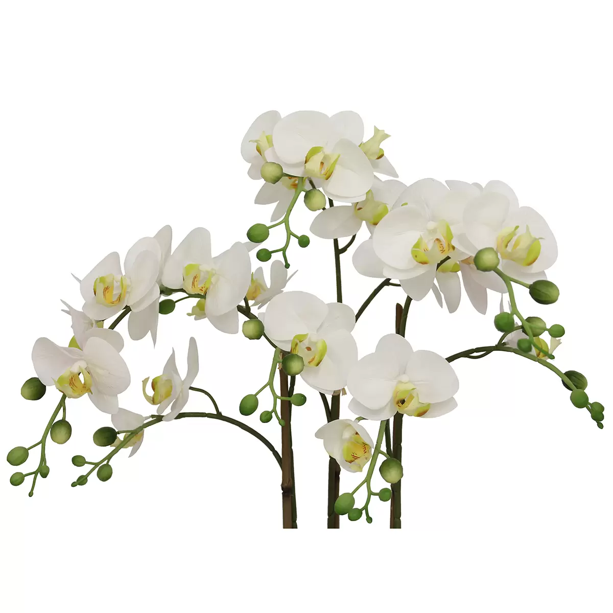 Faux Phalaenopsis Orchid Arrangement