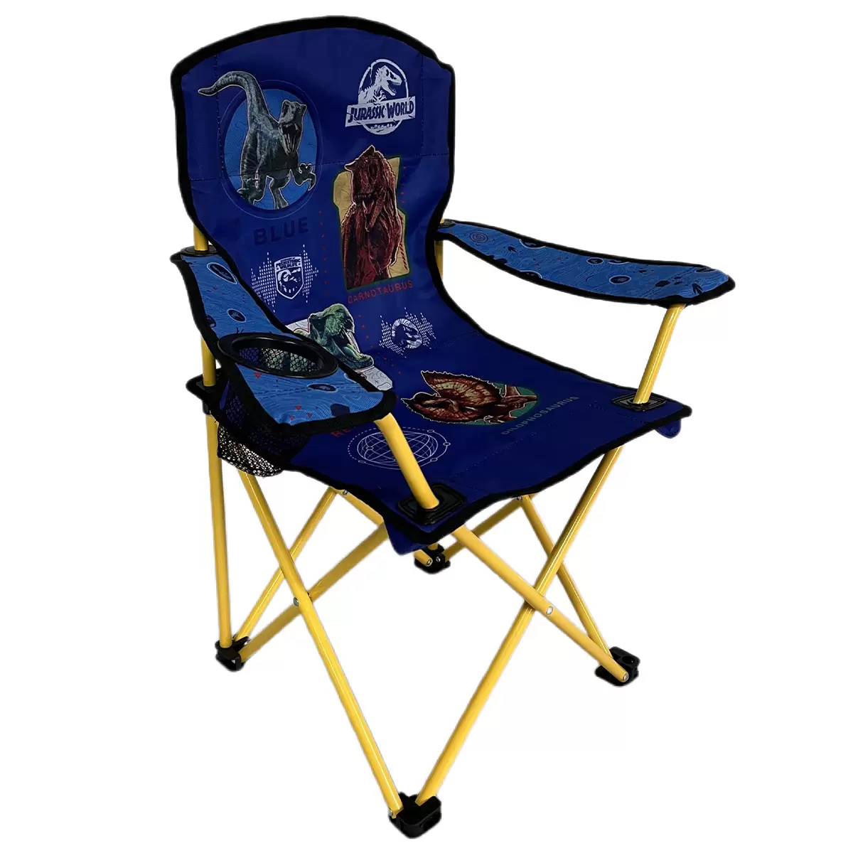 Danawares Kids Camp Chair