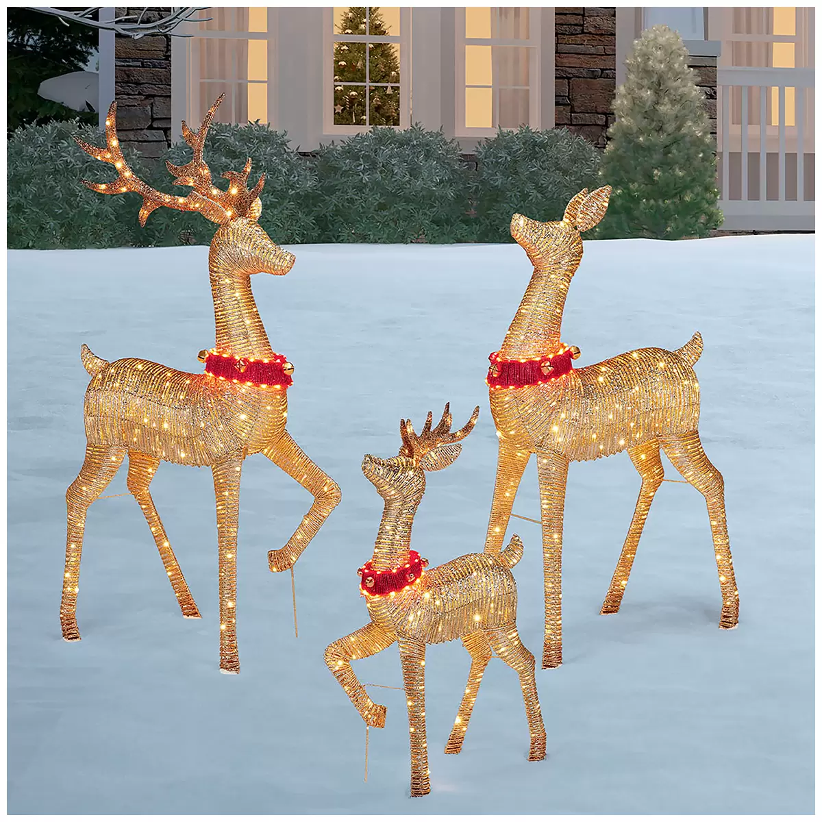 LED Deer Family Set of 3