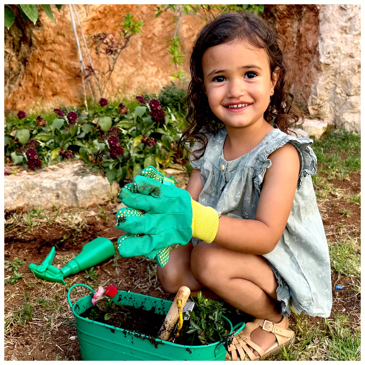 Miracle Gro Gardening Set Without Seeds